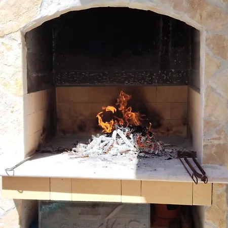 Doris * טרוגיר